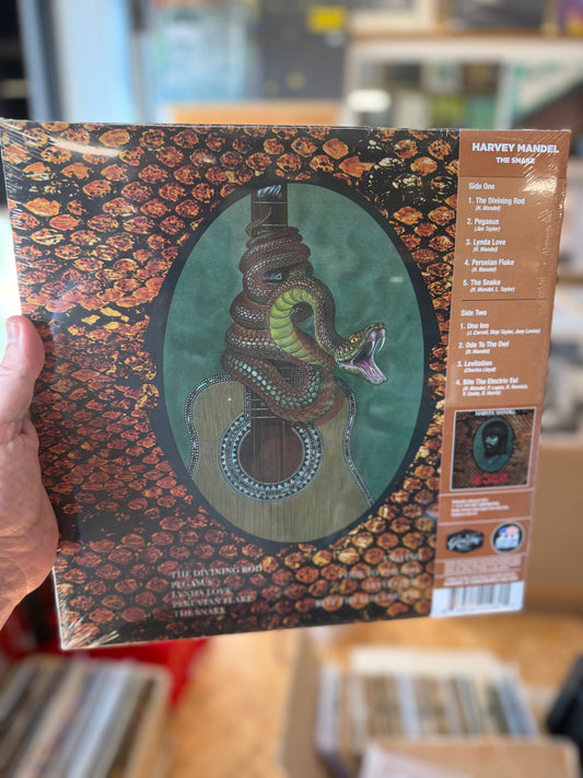 Harvey Mandel - The Snake