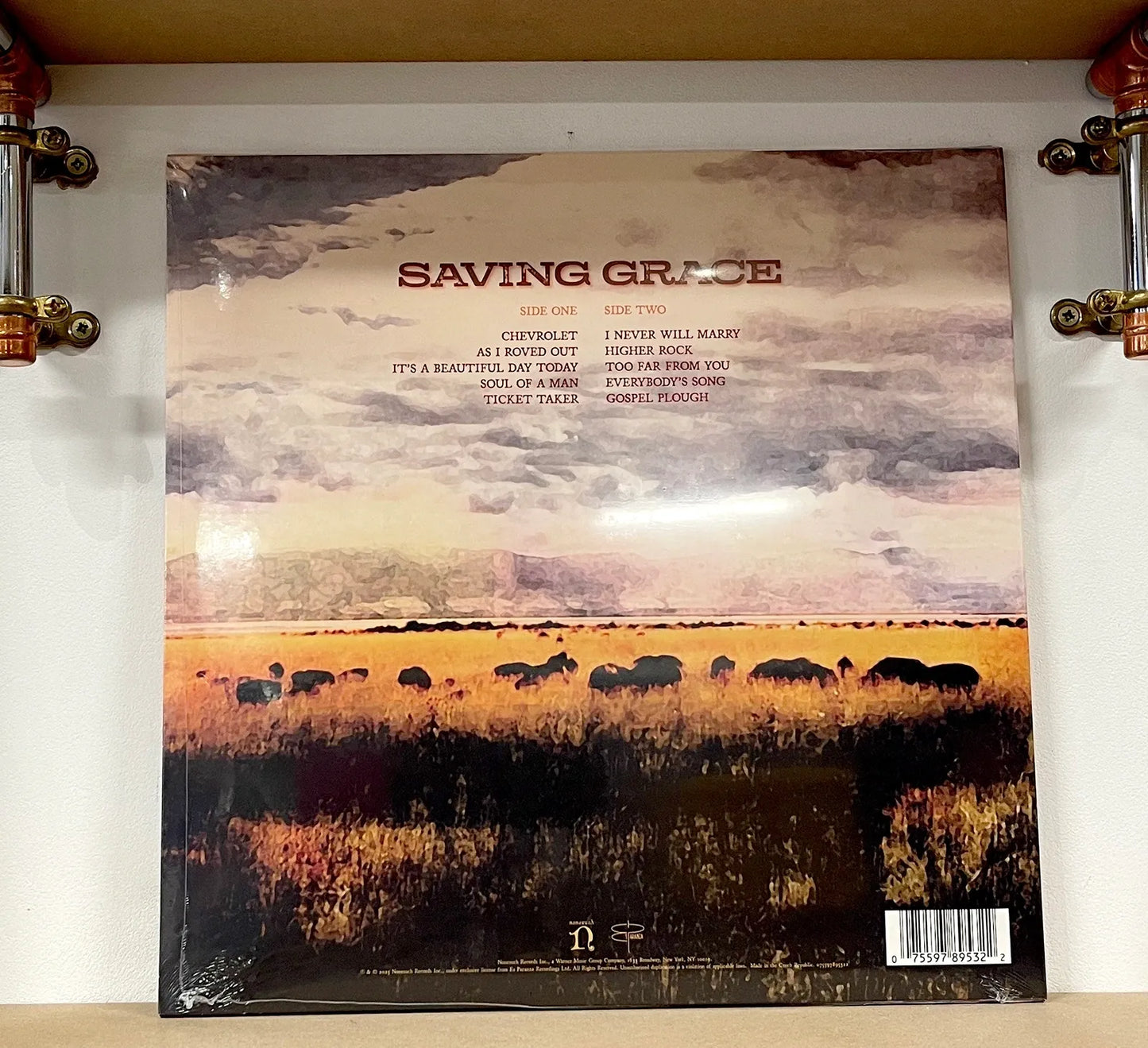 Robert Plant With Suzi Dian – Saving Grace