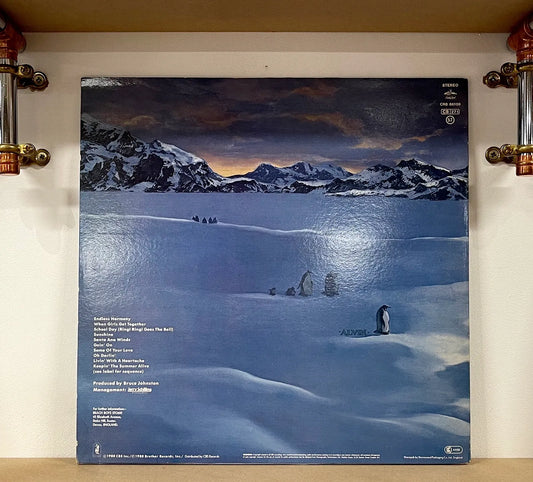 The Beach Boys – Keepin' The Summer Alive