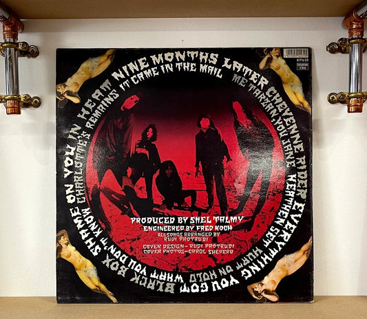 The Fuzztones – In Heat