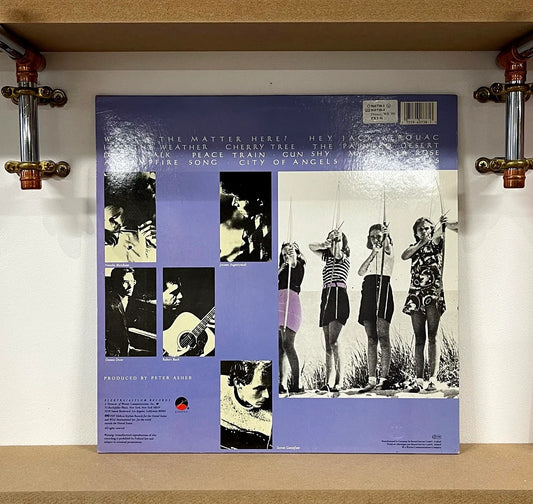 10,000 Maniacs – In My Tribe
