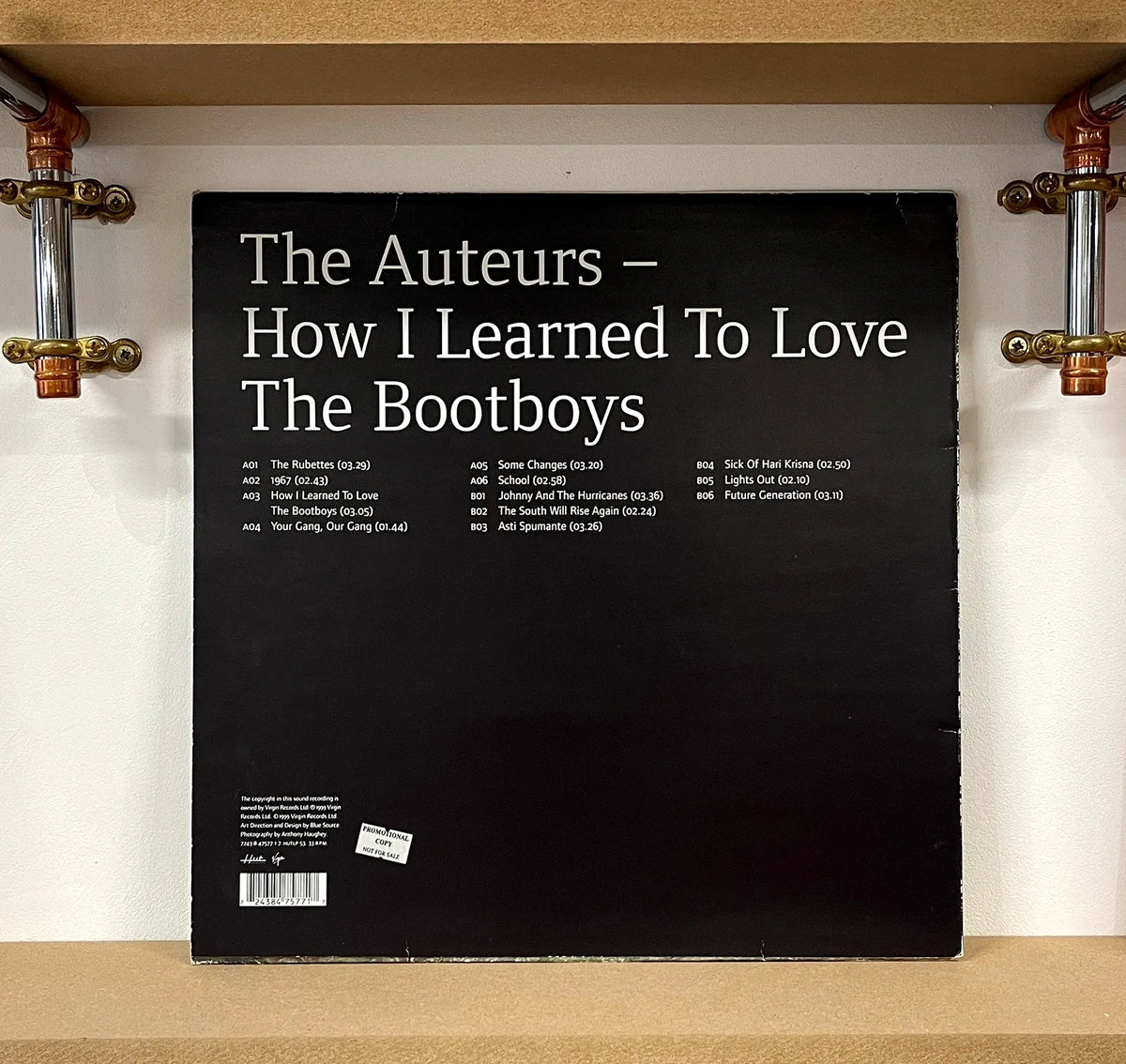 The Auteurs – How I Learned To Love The Bootboys