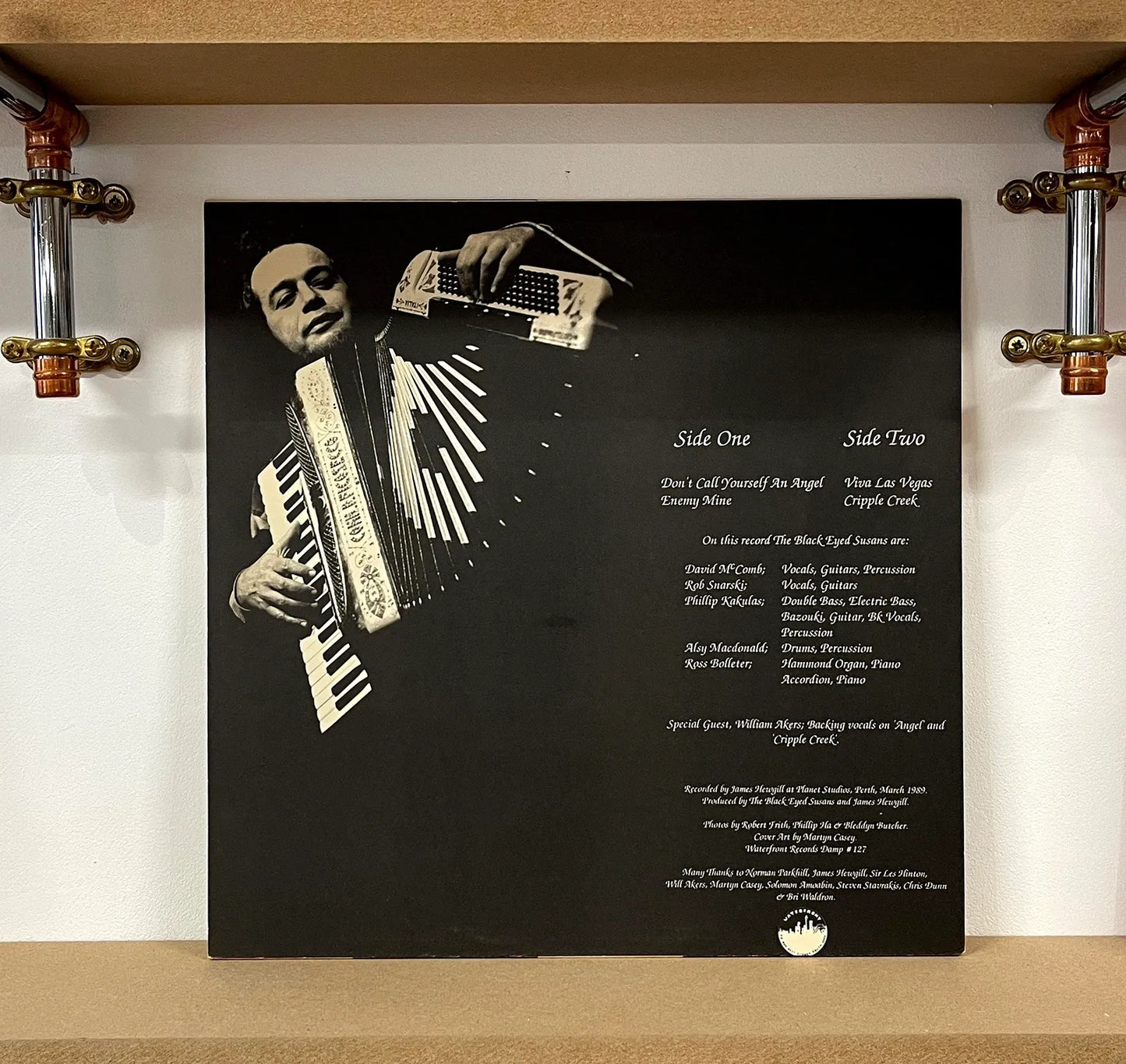 The Blackeyed Susans – Some Births Are Worse Than Murders