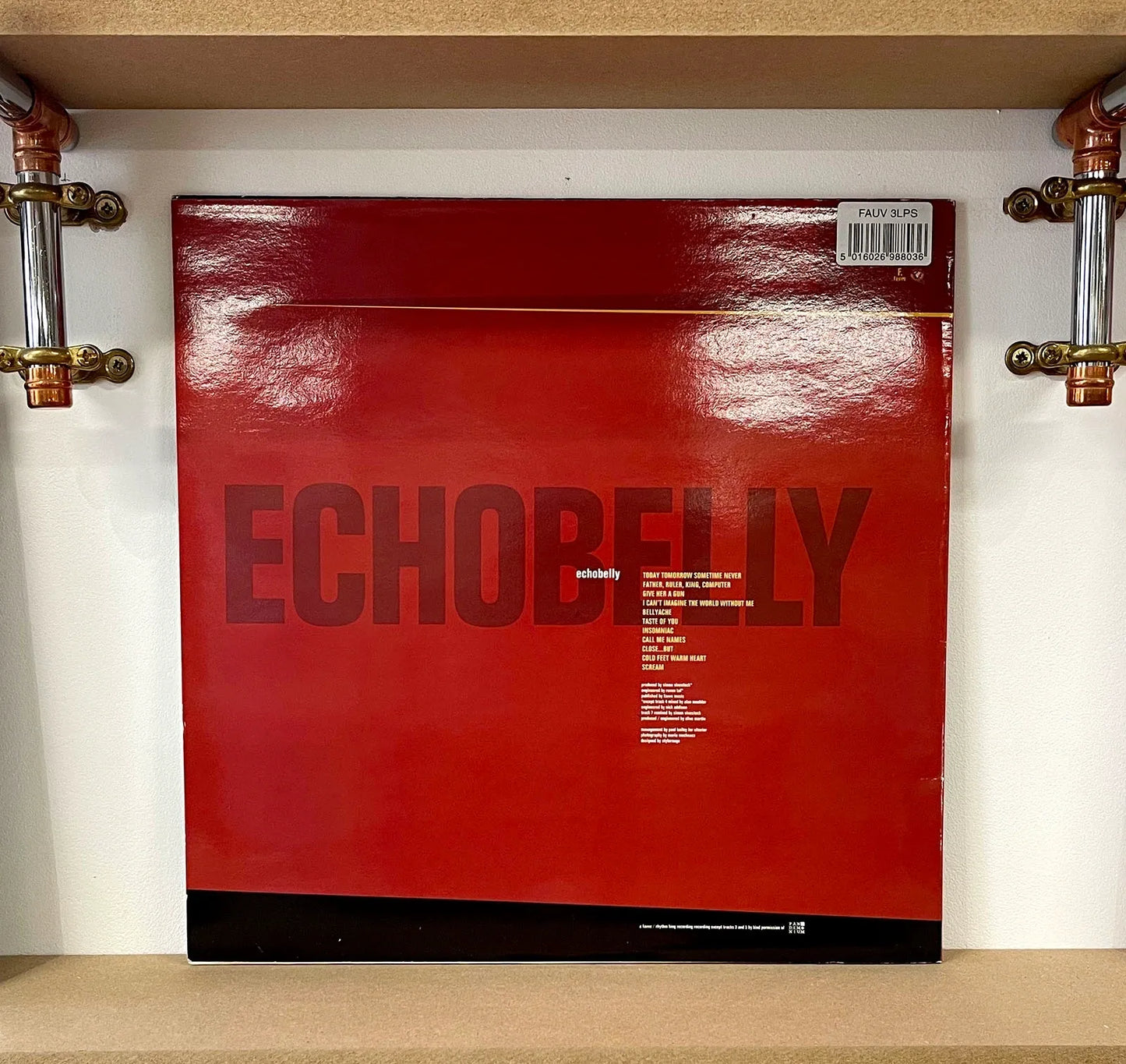 Echobelly – Everyone's Got One