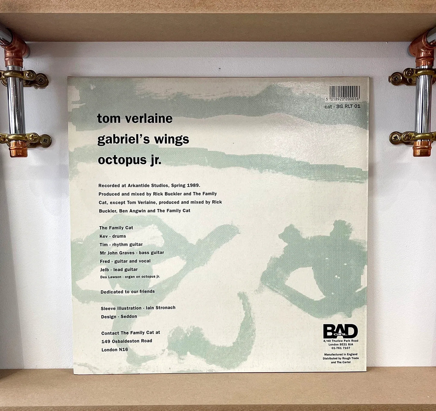 The Family Cat – Tom Verlaine