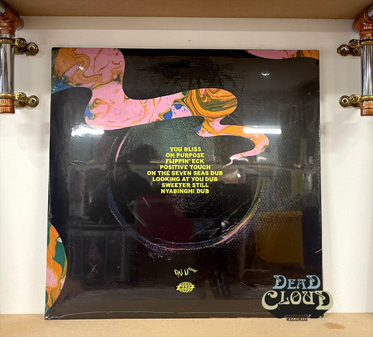 Nightmares On Wax vs Adrian Sherwood – In A Space Outta Dub