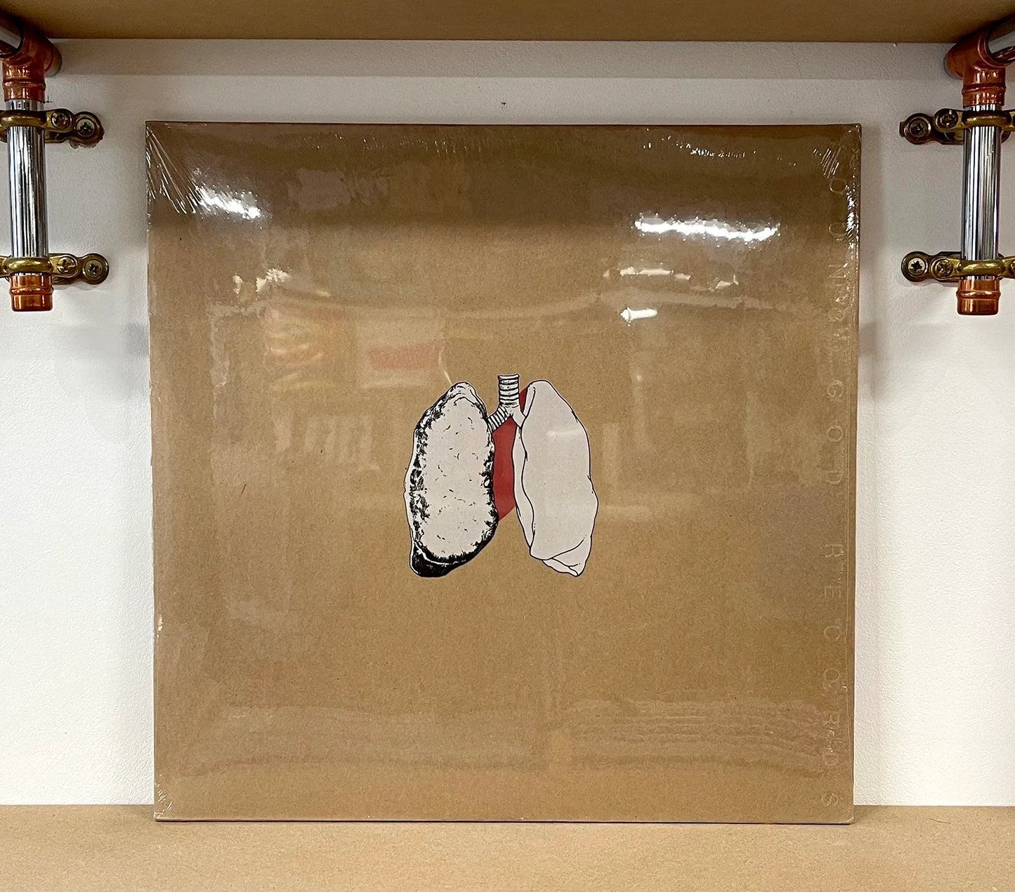 Swans – The Beggar