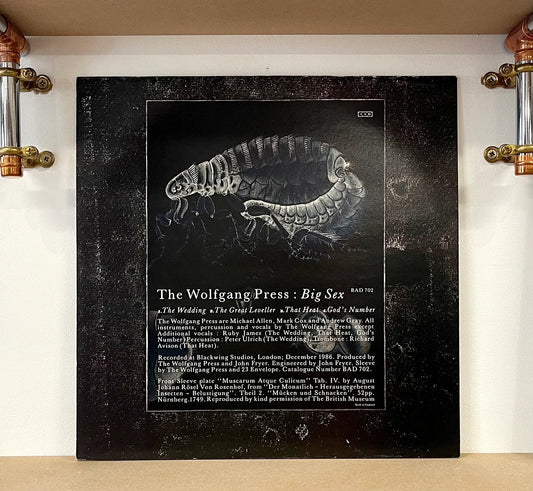 The Wolfgang Press – Big Sex