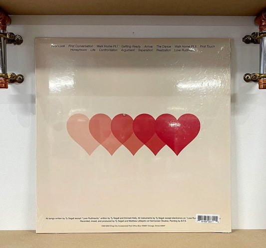 Ty Segall – Love Rudiments