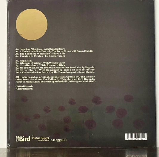 The Watchbird Alluminate - Jane Weaver Septiéme Sœur