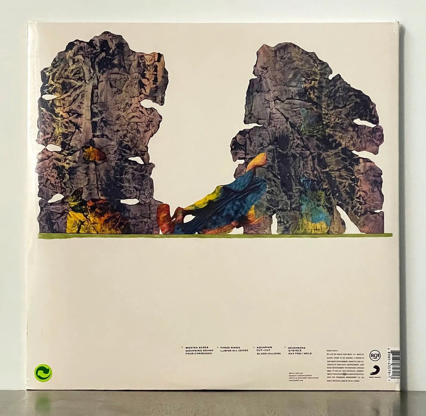 Grizzly Bear - Painted Ruins