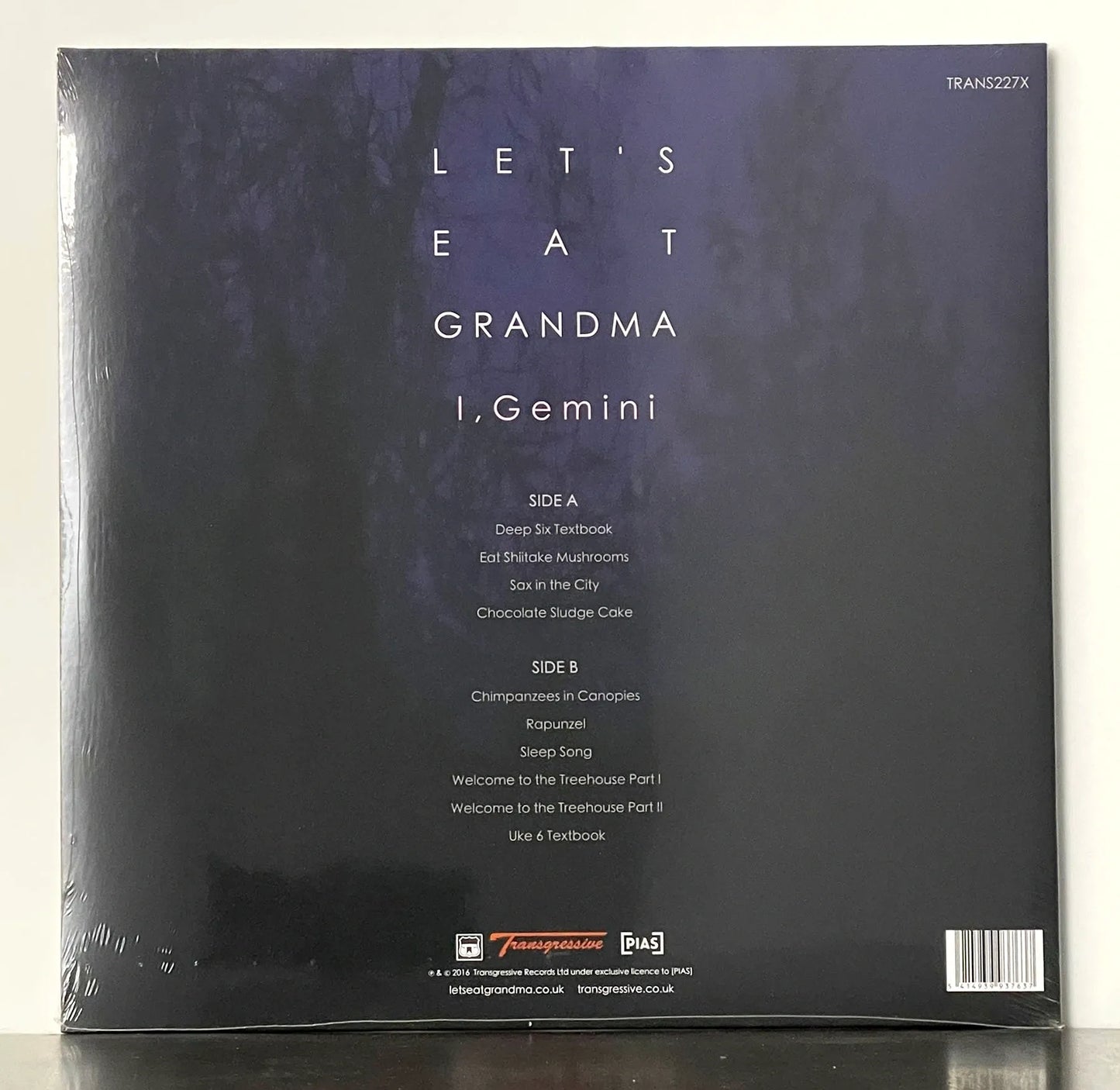Let's Eat Grandma – I, Gemini