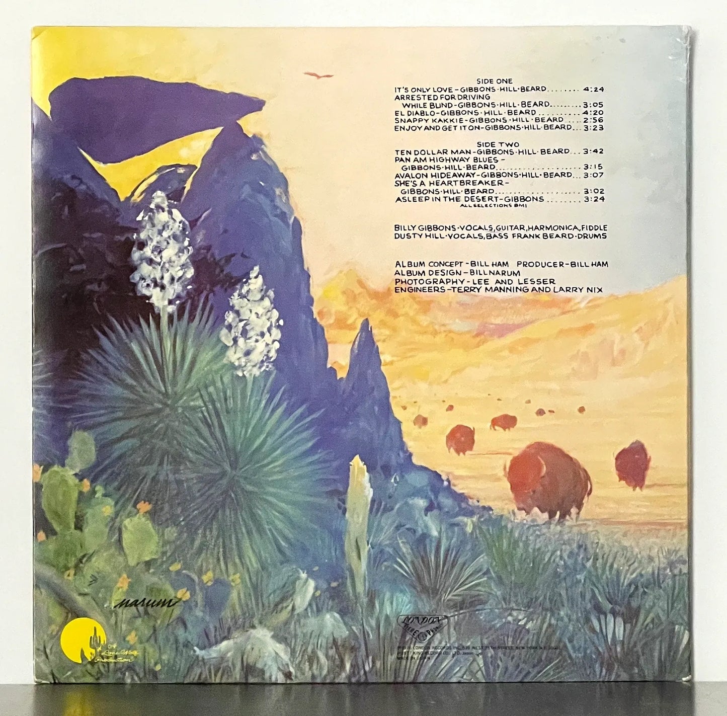 ZZ Top – Tejas