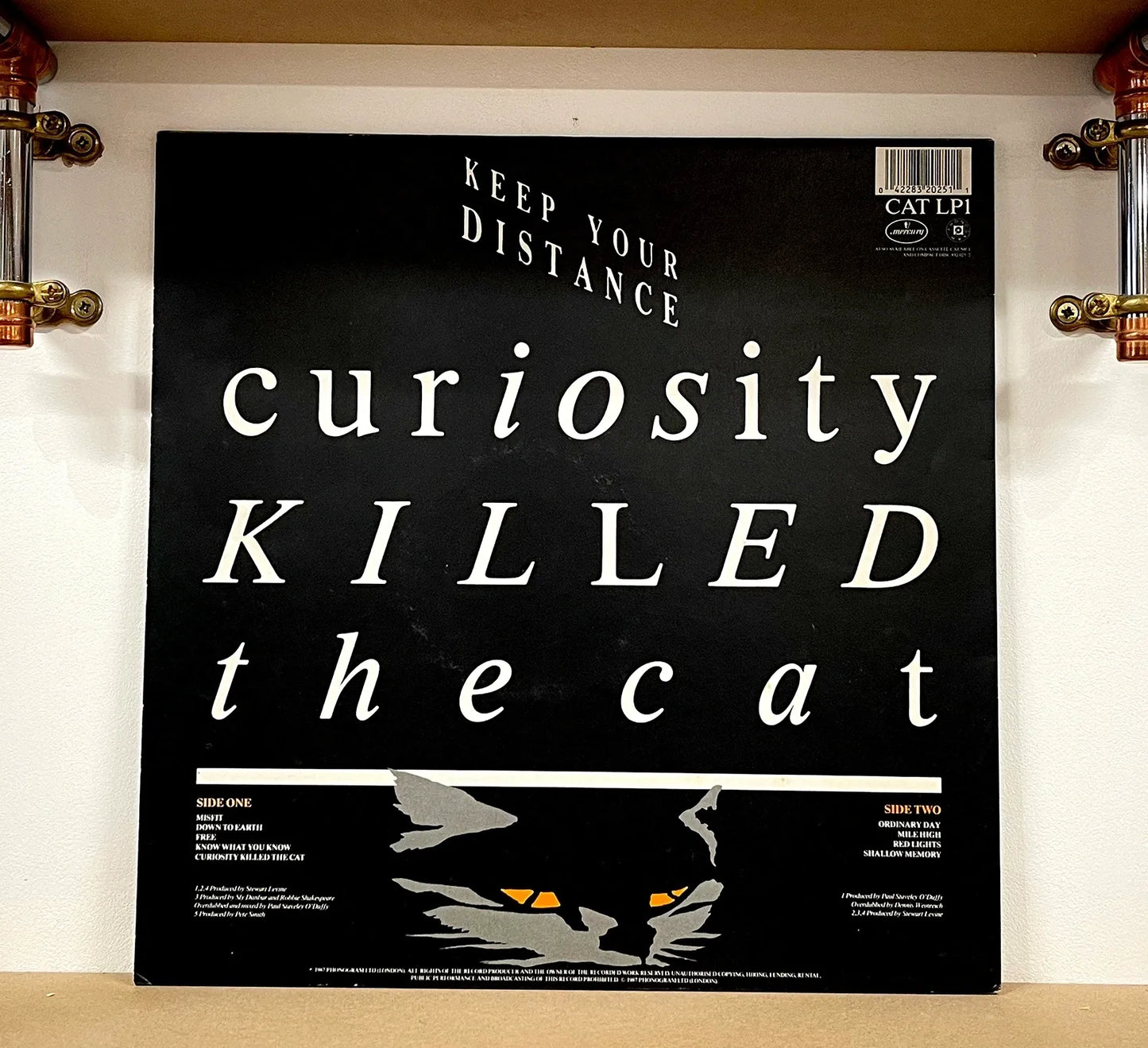 Curiosity Killed The Cat – Keep Your Distance