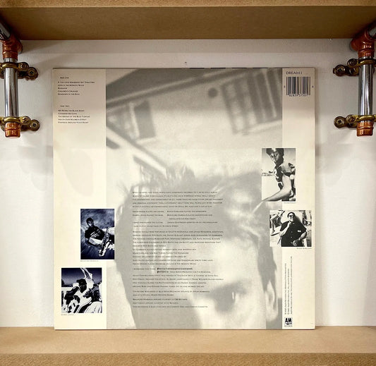Sting – The Dream Of The Blue Turtles
