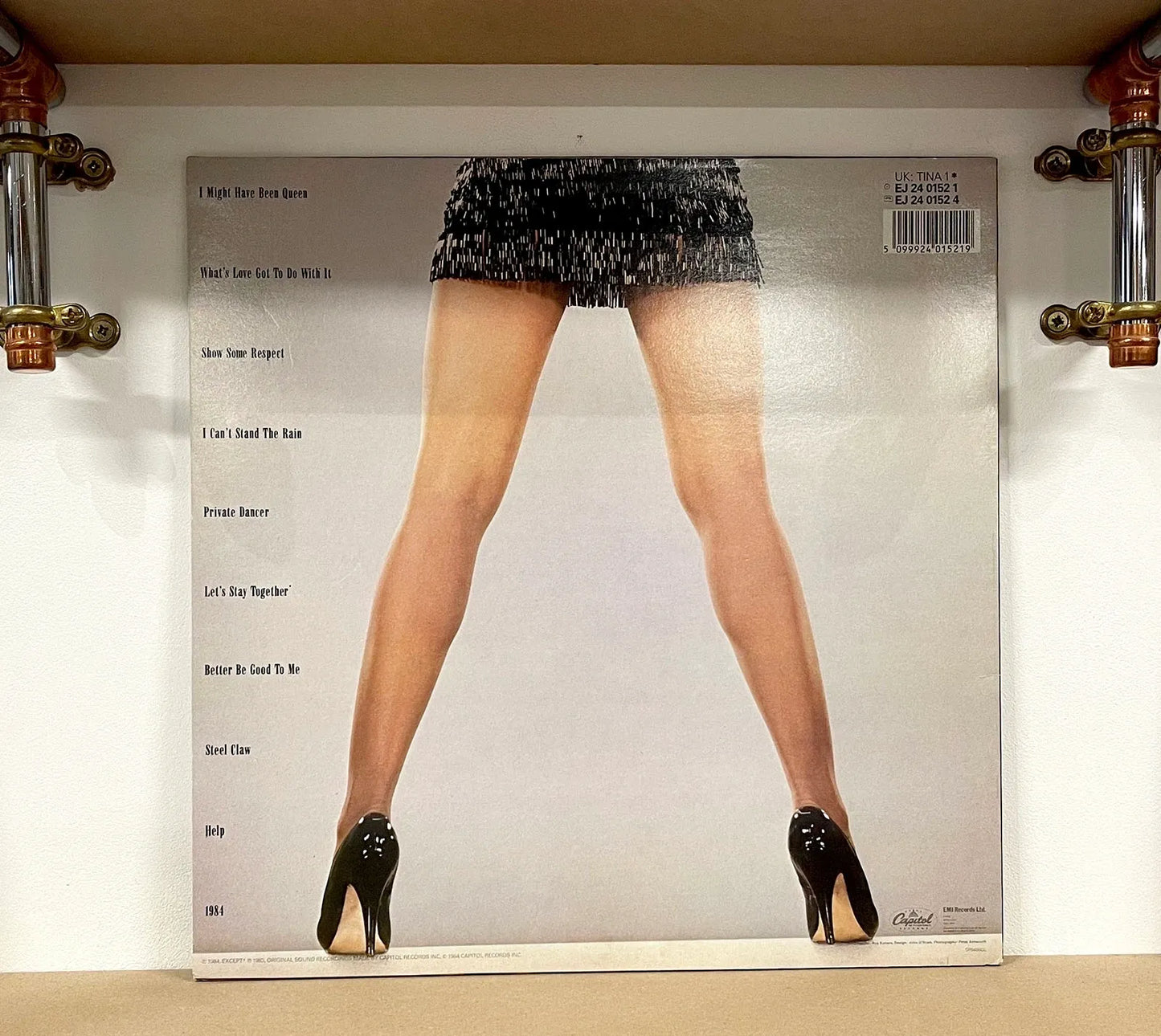 Tina Turner – Private Dancer