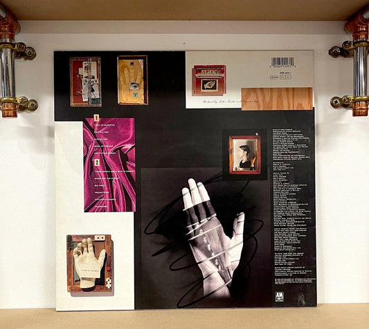 Suzanne Vega – Days Of Open Hand