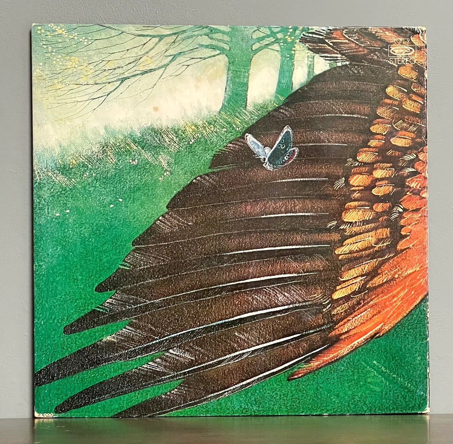 Fields – Fields
