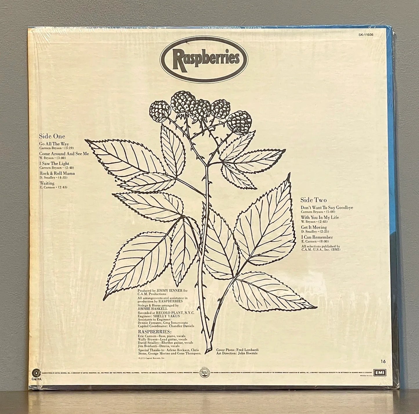 Raspberries – Raspberries
