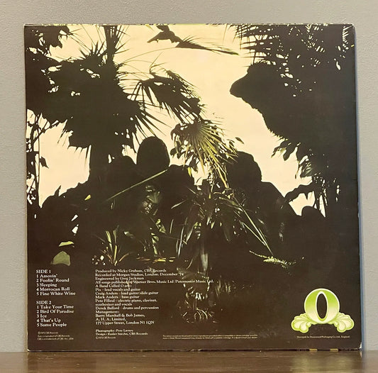 A Band Called "O" – Oasis