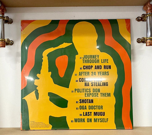 Femi Kuti – Journey Through Life