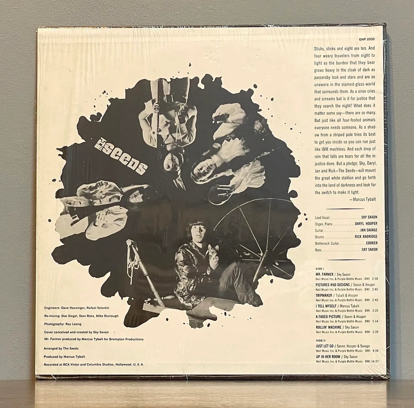 The Seeds – A Web Of Sound