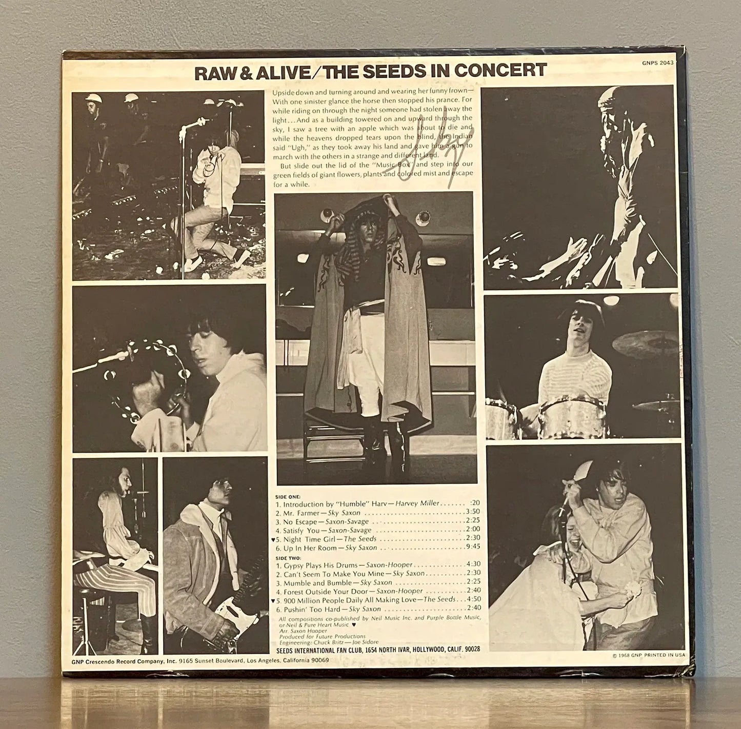 The Seeds – Raw & Alive In Concert At Merlin's Music Box