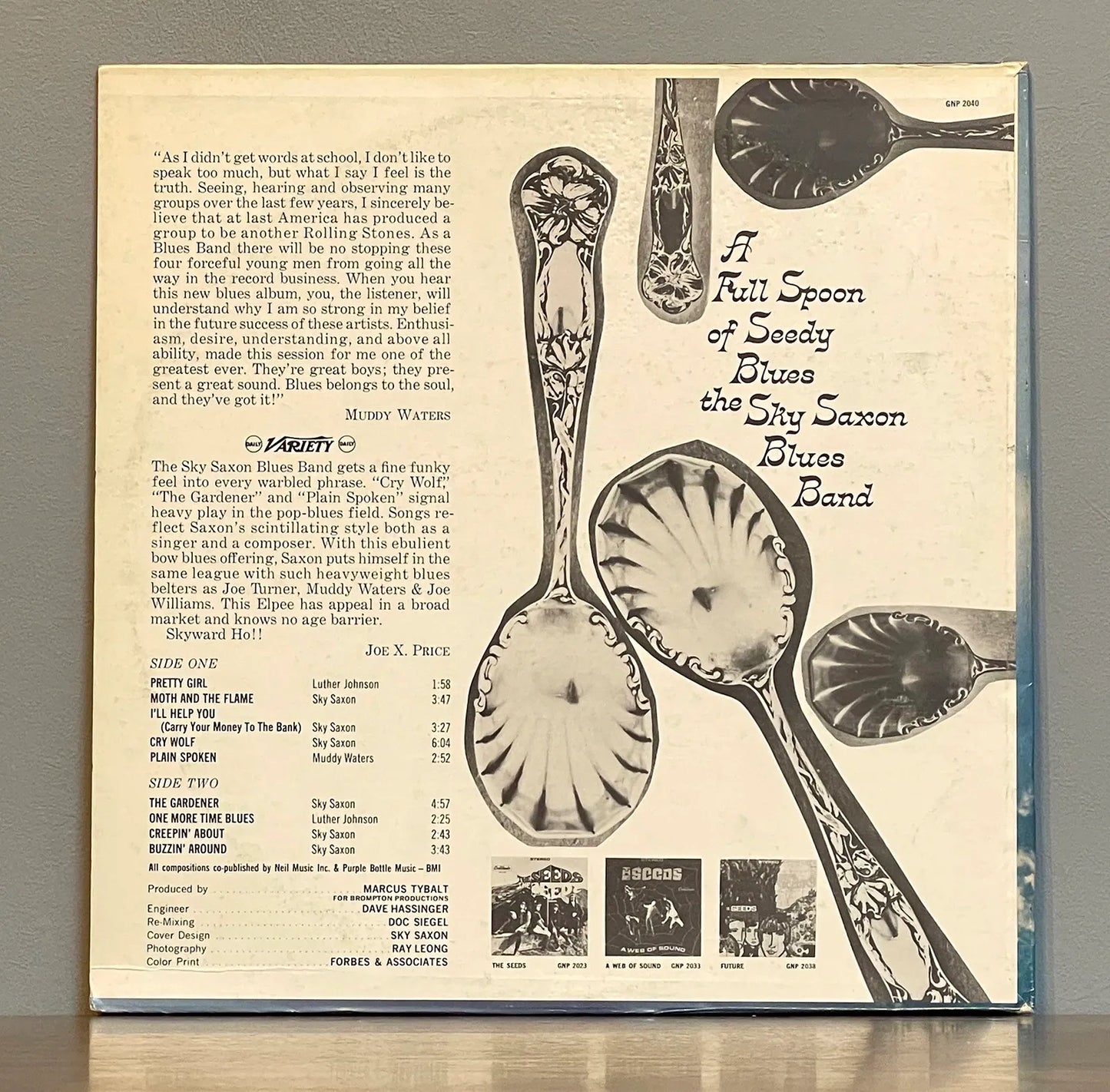 Sky Saxon Blues Band – A Full Spoon Of Seedy Blues