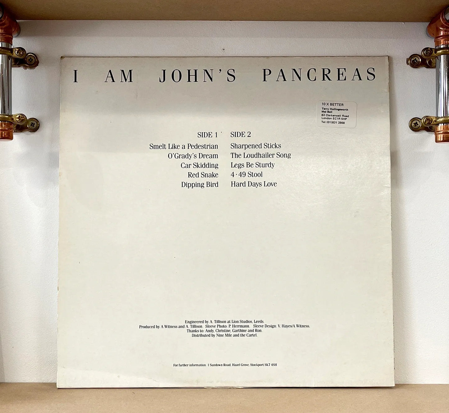 A Witness – I Am John's Pancreas