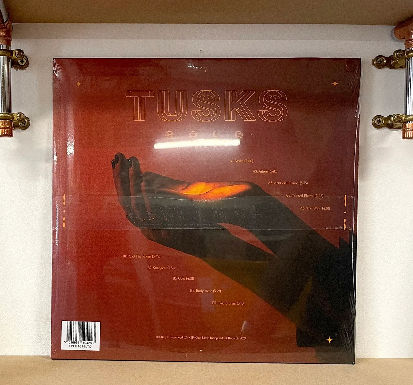 Tusks – Gold