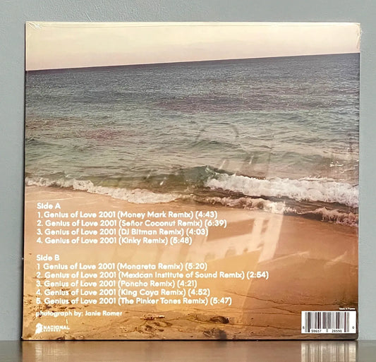 Tom Tom Club – Genius Of Love 2001 Remixes