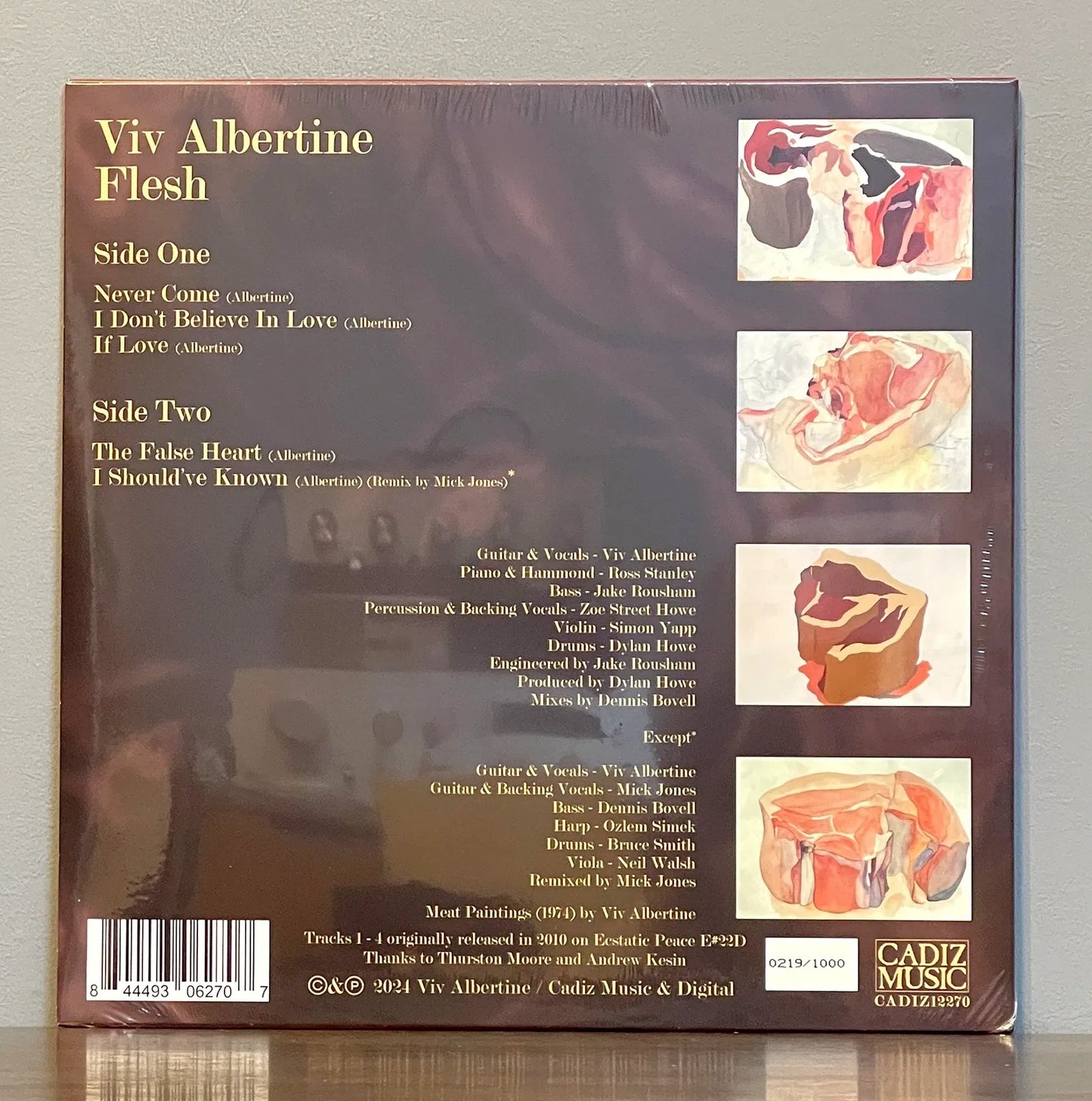 Viv Albertine – Flesh