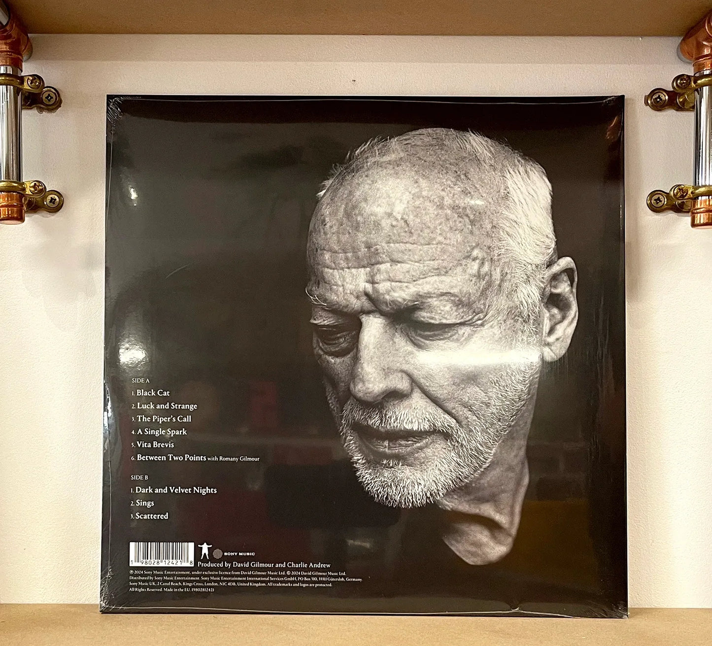 David Gilmour – Luck And Strange