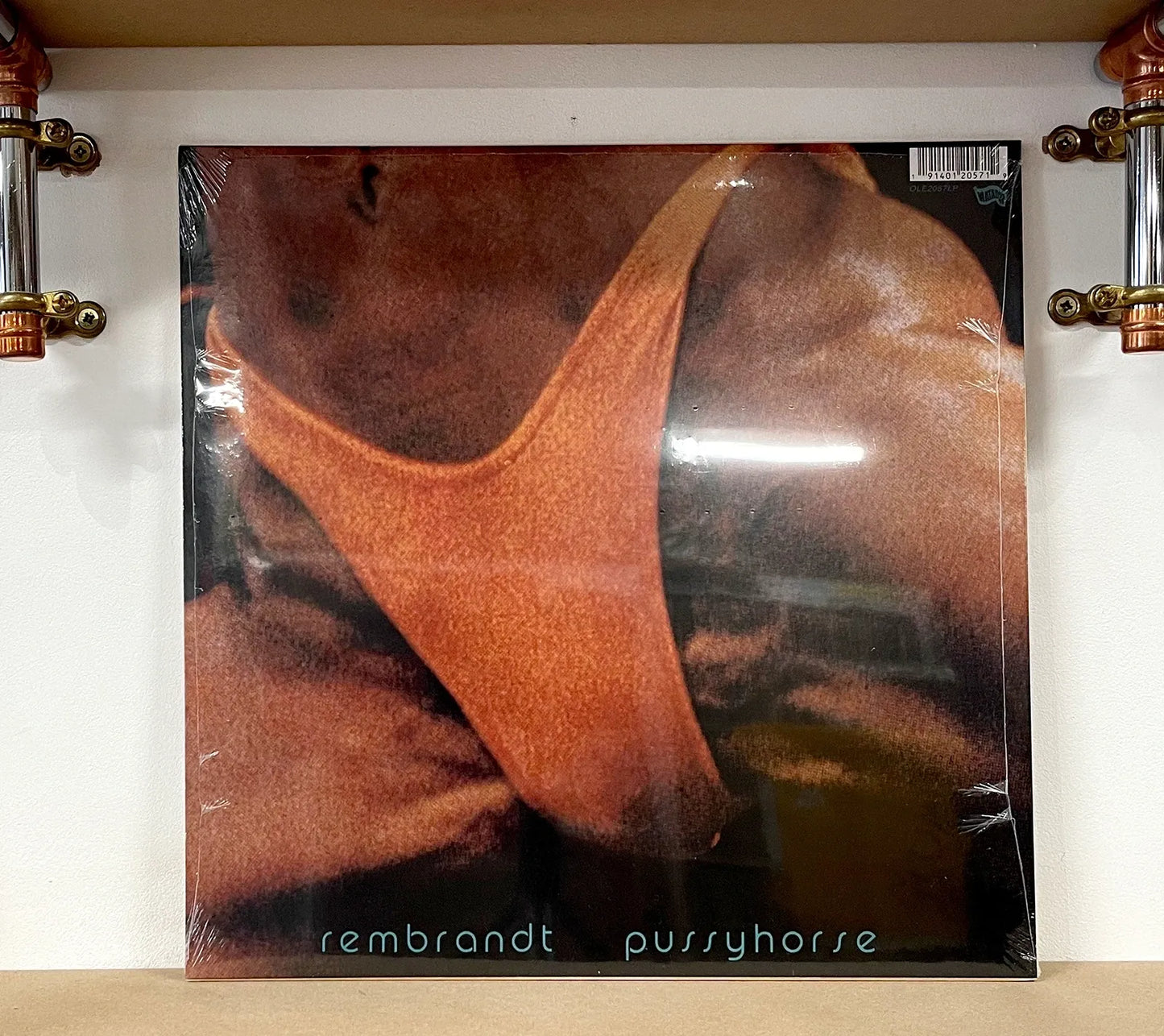 Butthole Surfers – Rembrandt Pussyhorse