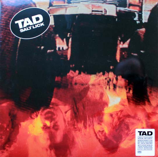 TAD - Salt Lick