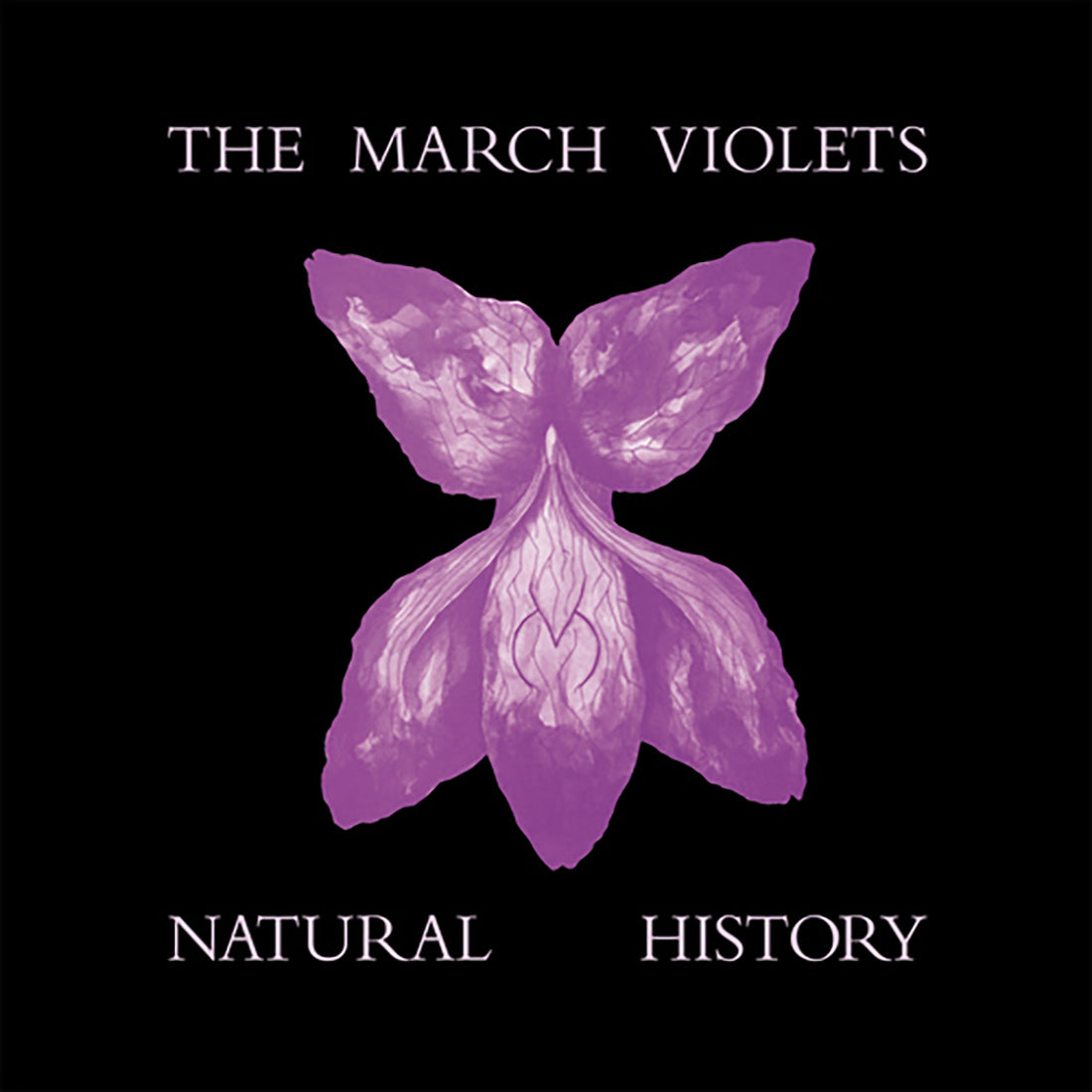 The March Violets - Natural History