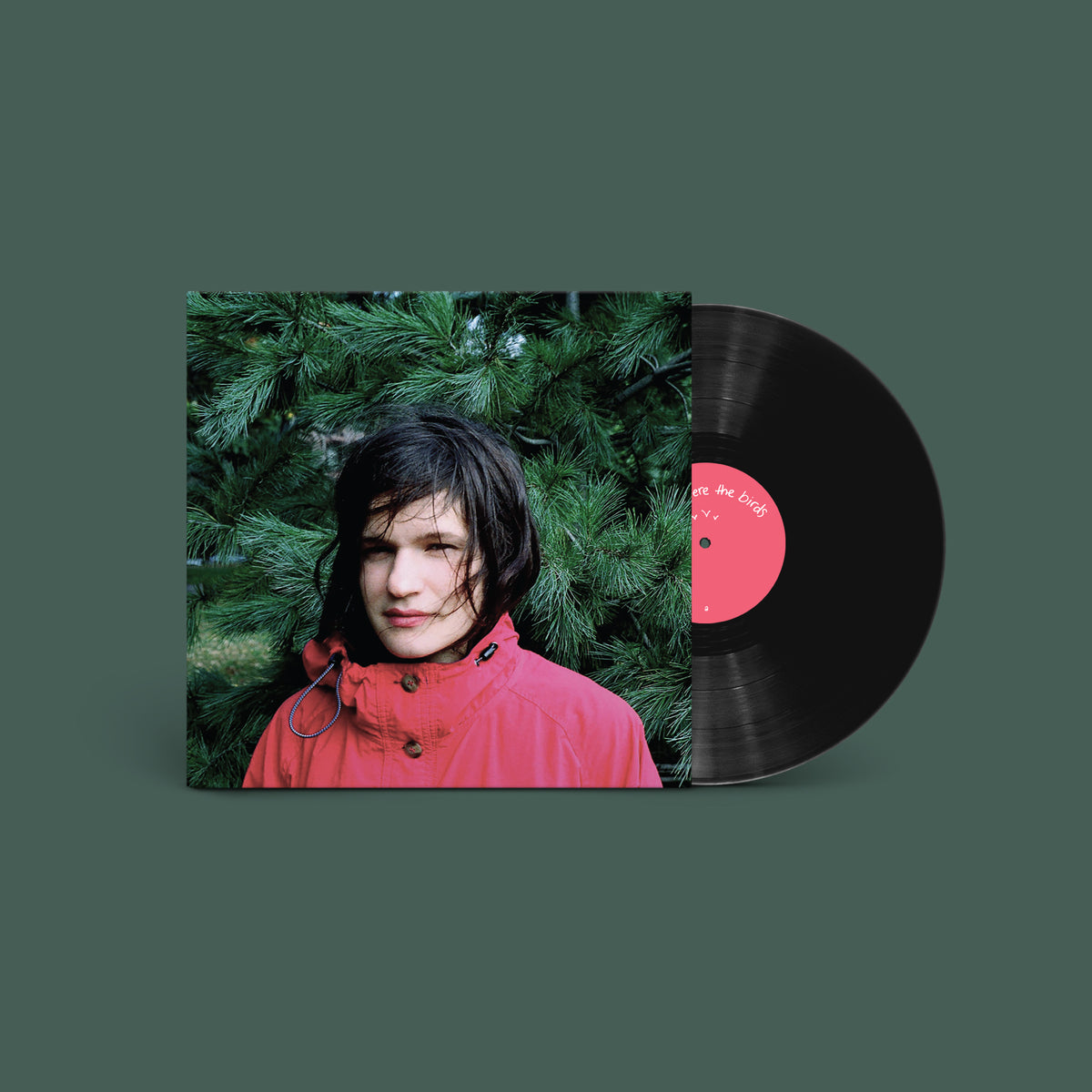 adrianne lenker hours were the birds vinyl packshot
