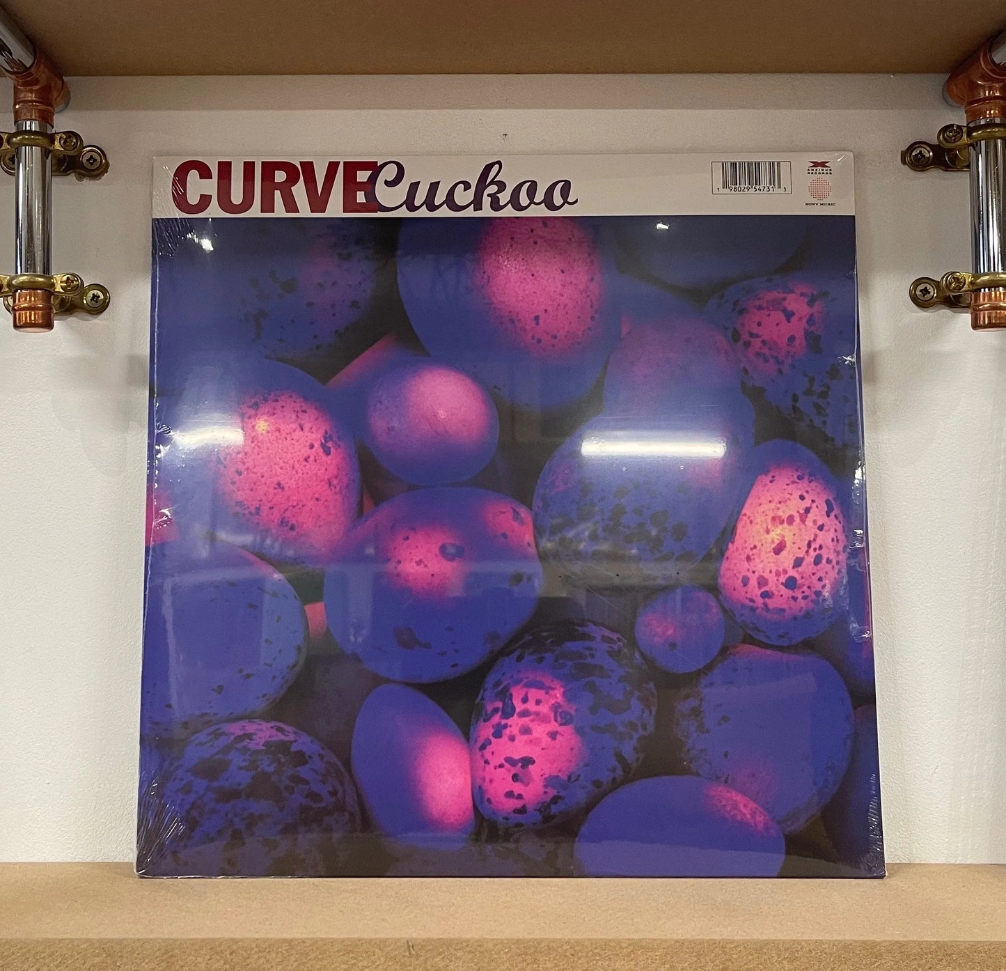 Curve – Cuckoo