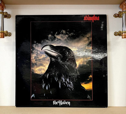 The Stranglers – The Raven