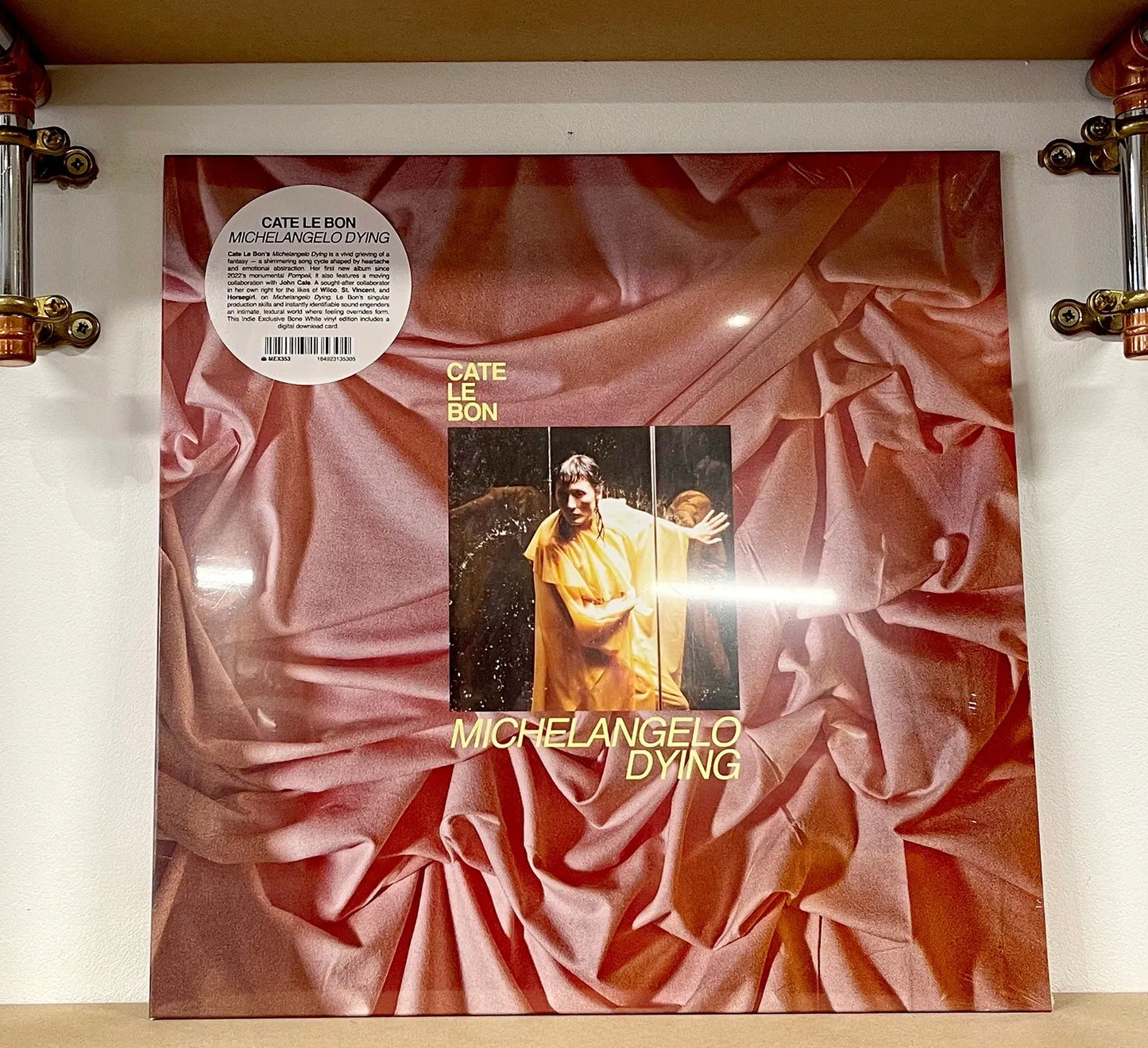 Cate Le Bon – Michelangelo Dying