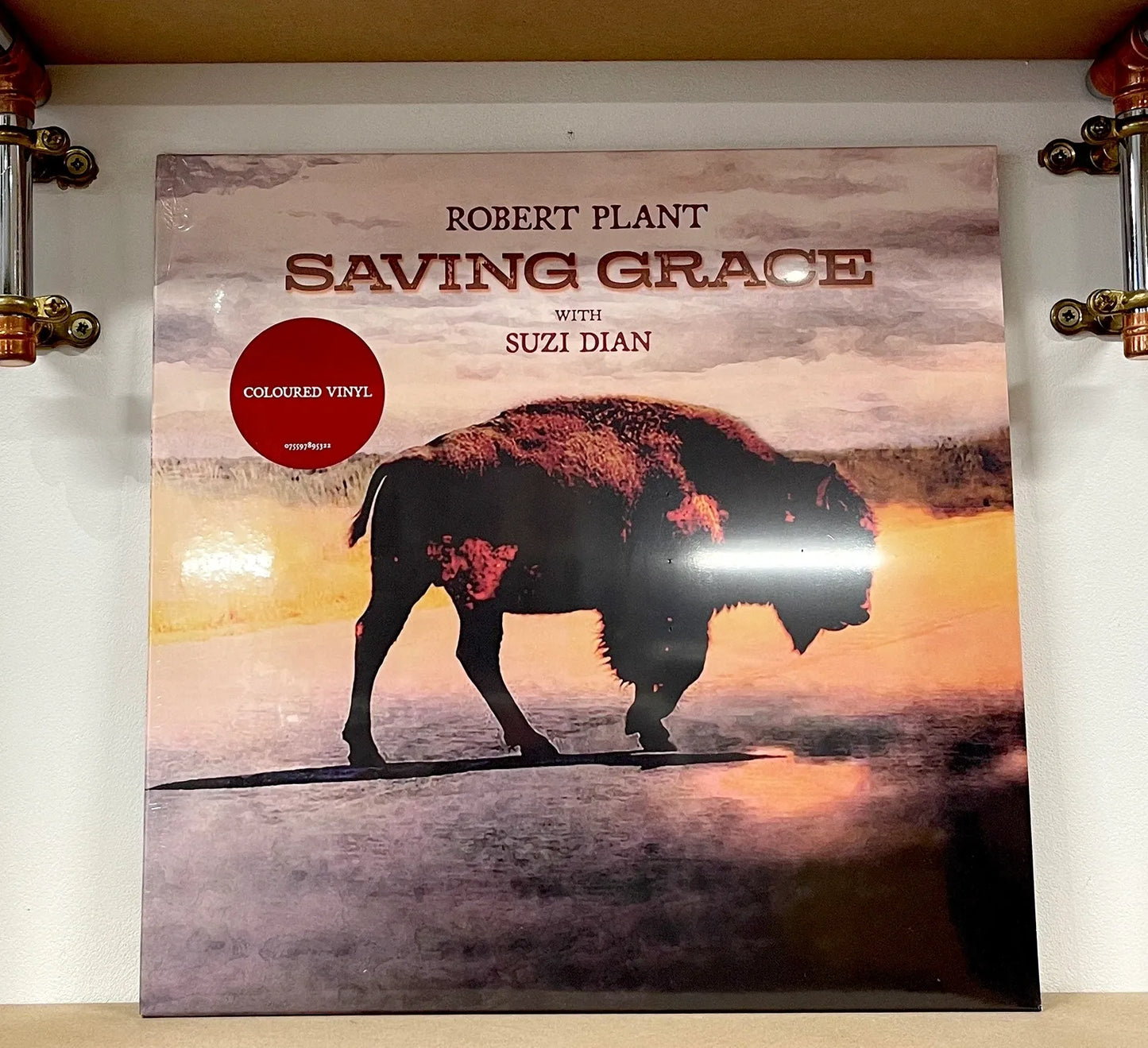 Robert Plant With Suzi Dian – Saving Grace