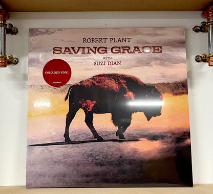 Robert Plant With Suzi Dian – Saving Grace