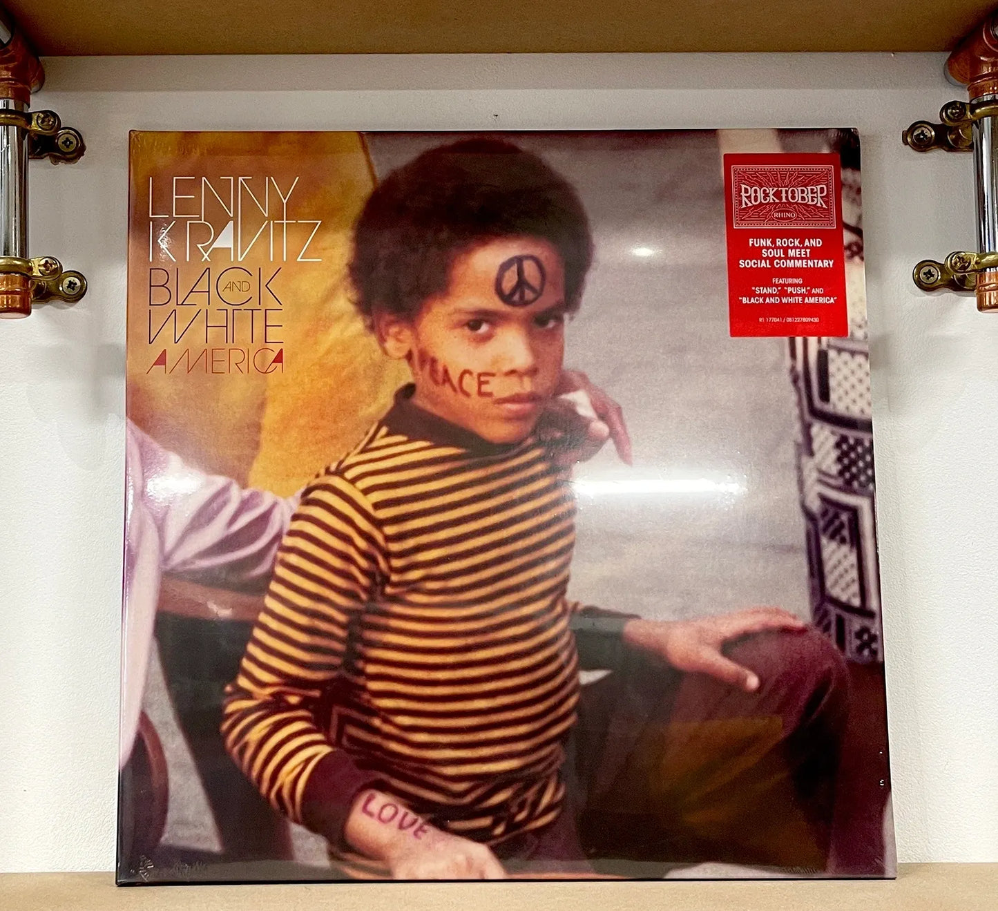 Lenny Kravitz – Black And White America