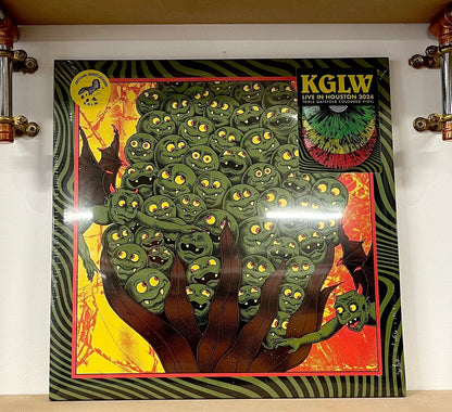 King Gizzard & The Lizard Wizard* – Live In Houston '24