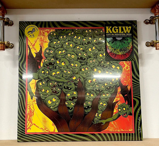 King Gizzard & The Lizard Wizard* – Live In Houston '24