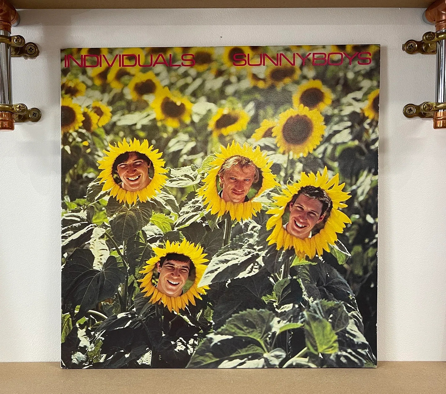 Sunnyboys – Individuals