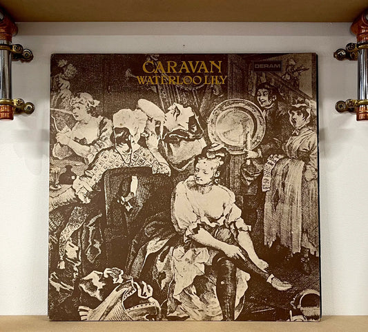 Caravan – Waterloo Lily