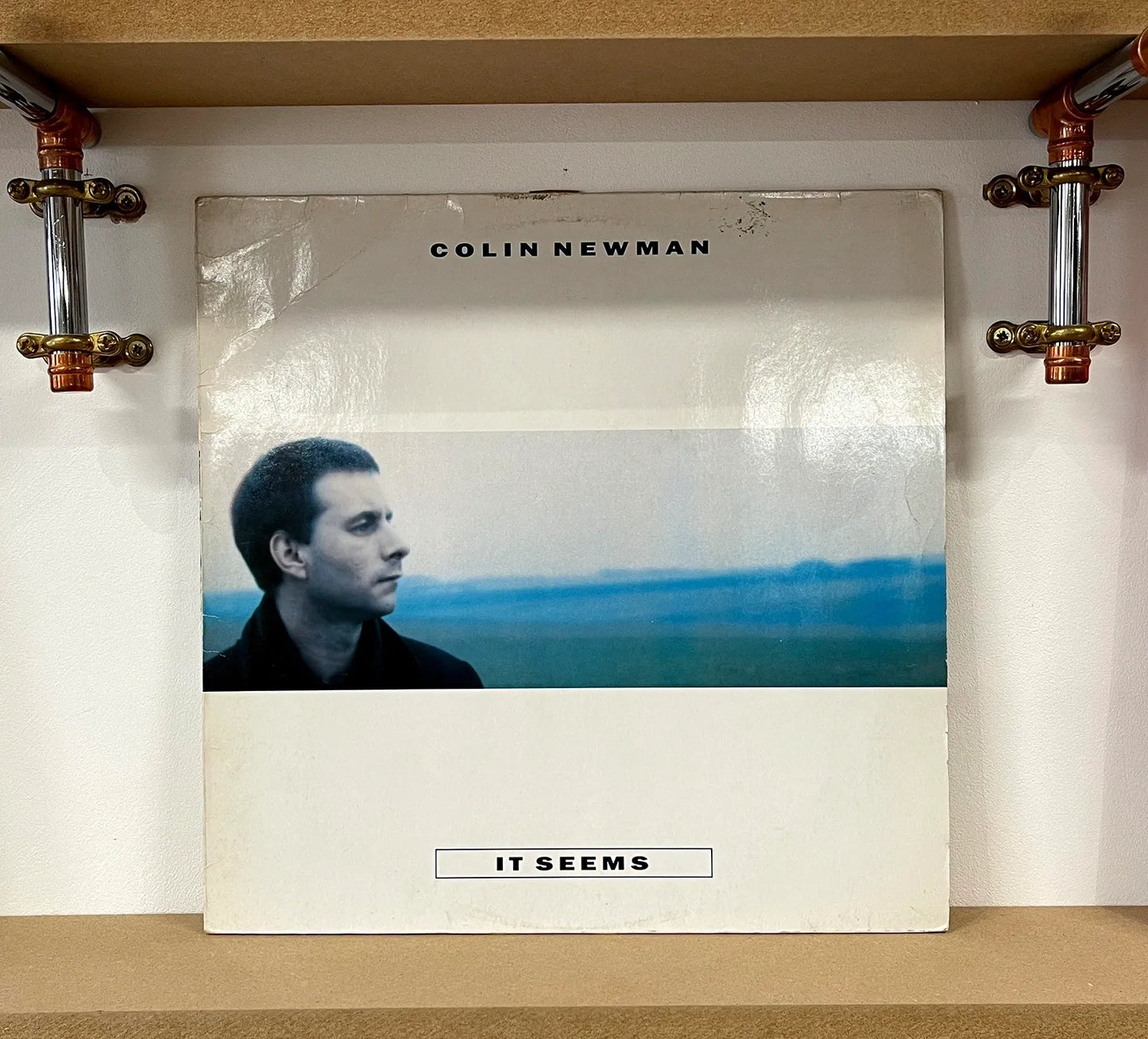 Colin Newman – It Seems