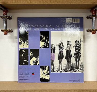 10,000 Maniacs – In My Tribe