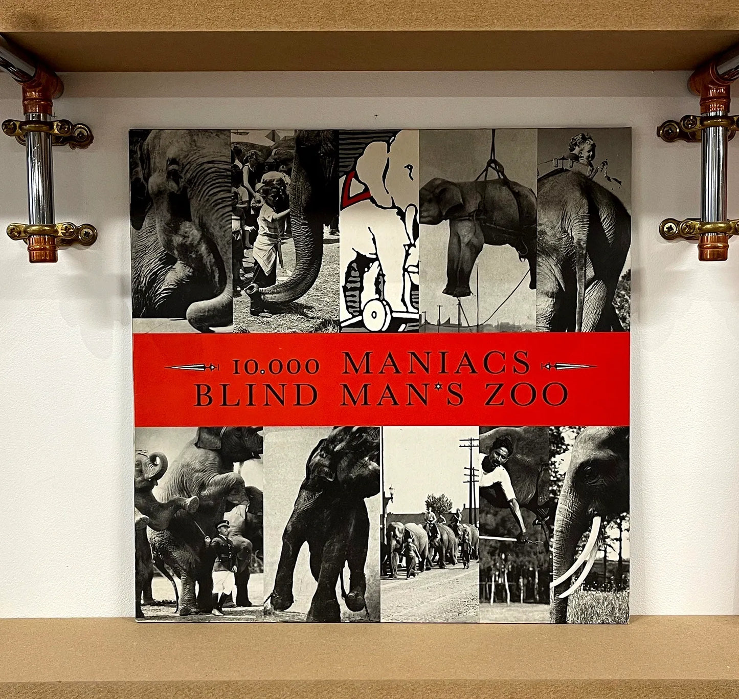 10,000 Maniacs – Blind Man's Zoo
